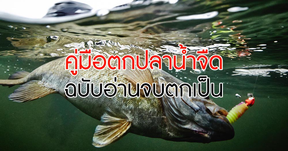 การใช้อุปกรณ์ตกปลา